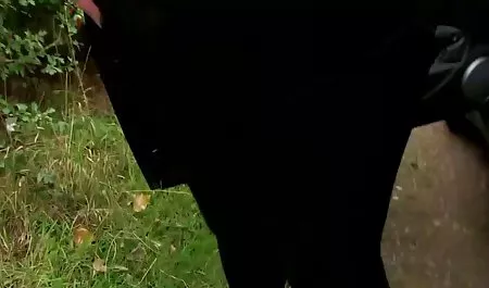 پورنو روسی: زن و شوهر fucks در دوربین سریال هایسکسی