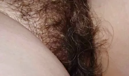 باشگاه در گربه سريال سكسى